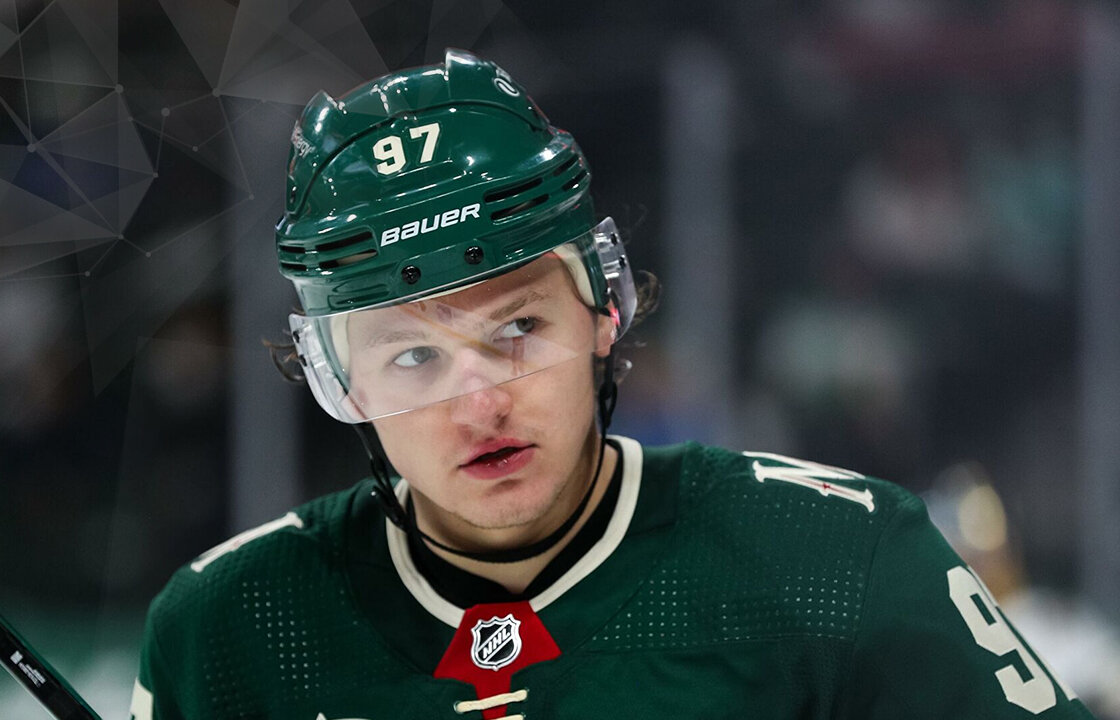 фото:  twitter.com/mnwild