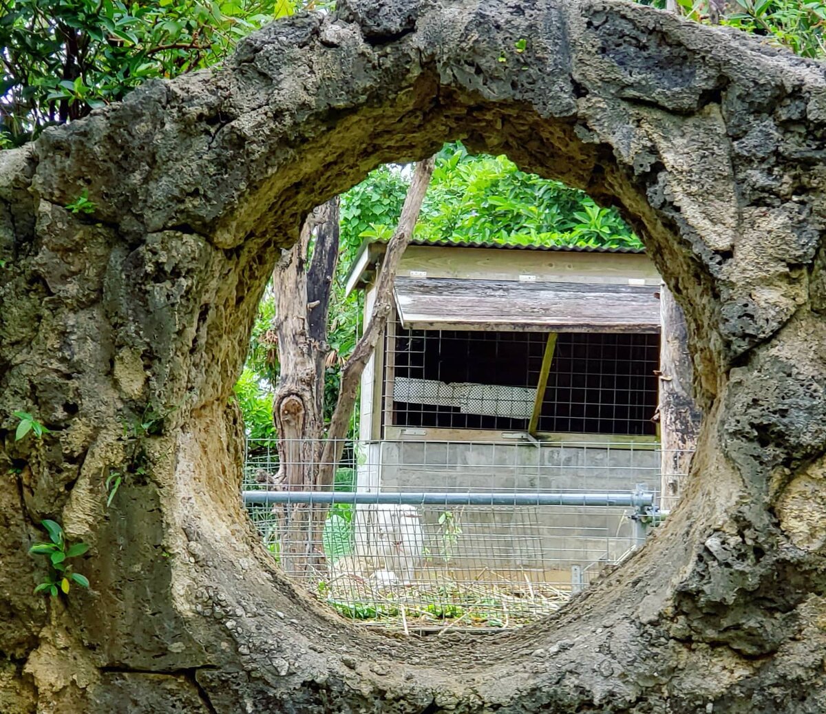 Вольер с козами