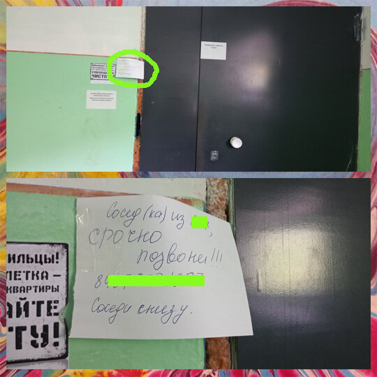 Фото автора