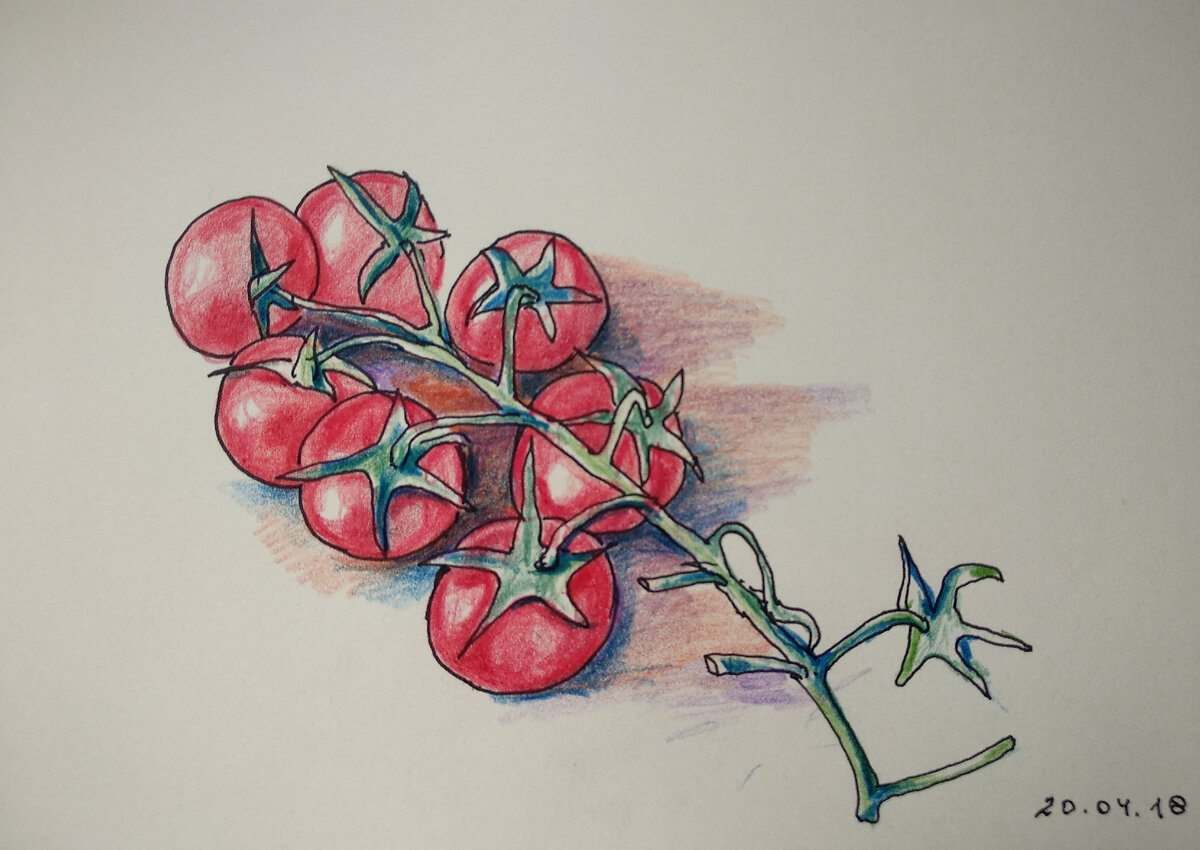 Из таких маленьких помидоров можно сготовить отличный салат зимой или летом. Рисунок автора.