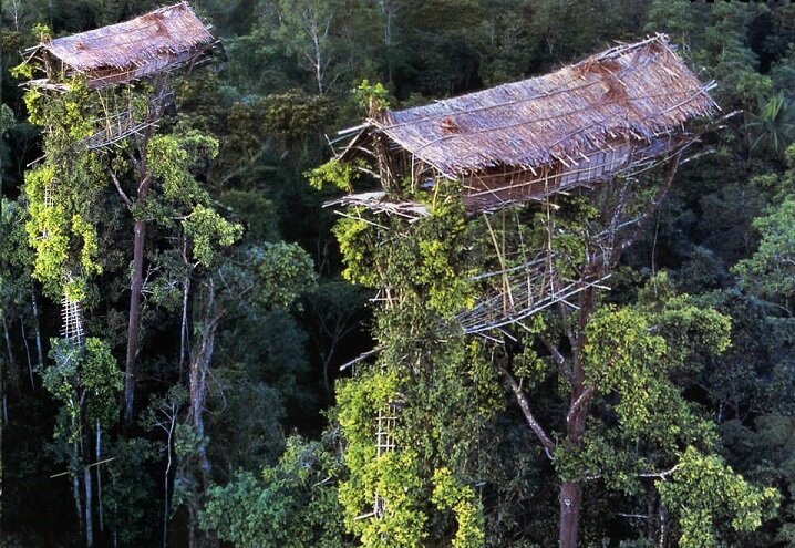 Дома папуасов Караваи