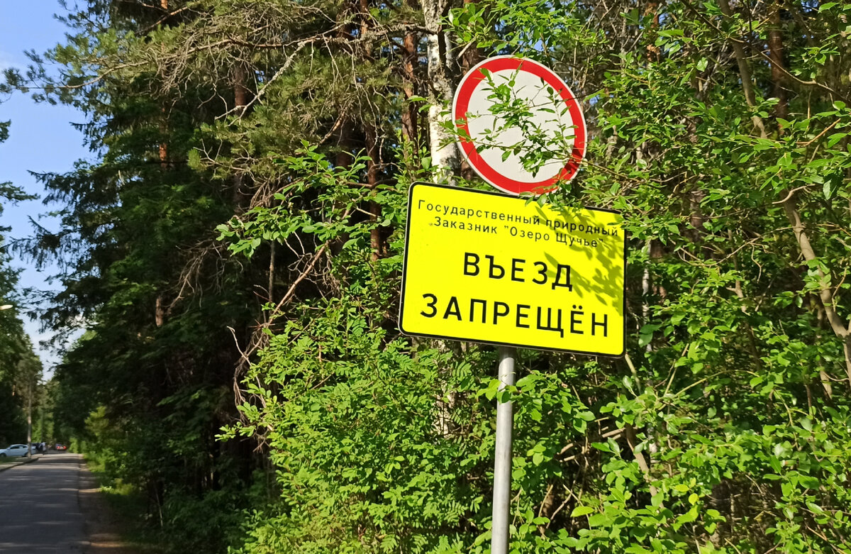 Фото из личного архива