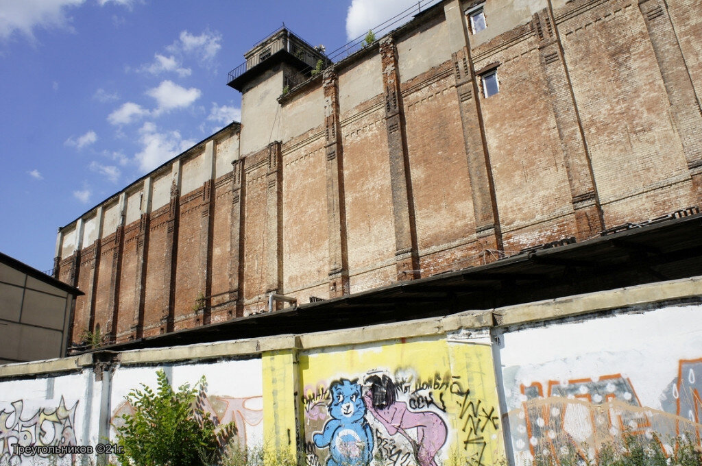 Фото: Александр Треугольников