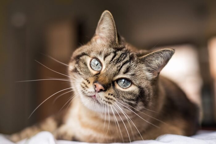 📌Все права на представленные в статье фотографии, принадлежит только их владельцам. Все фотографии взяты из открытых источников📌.