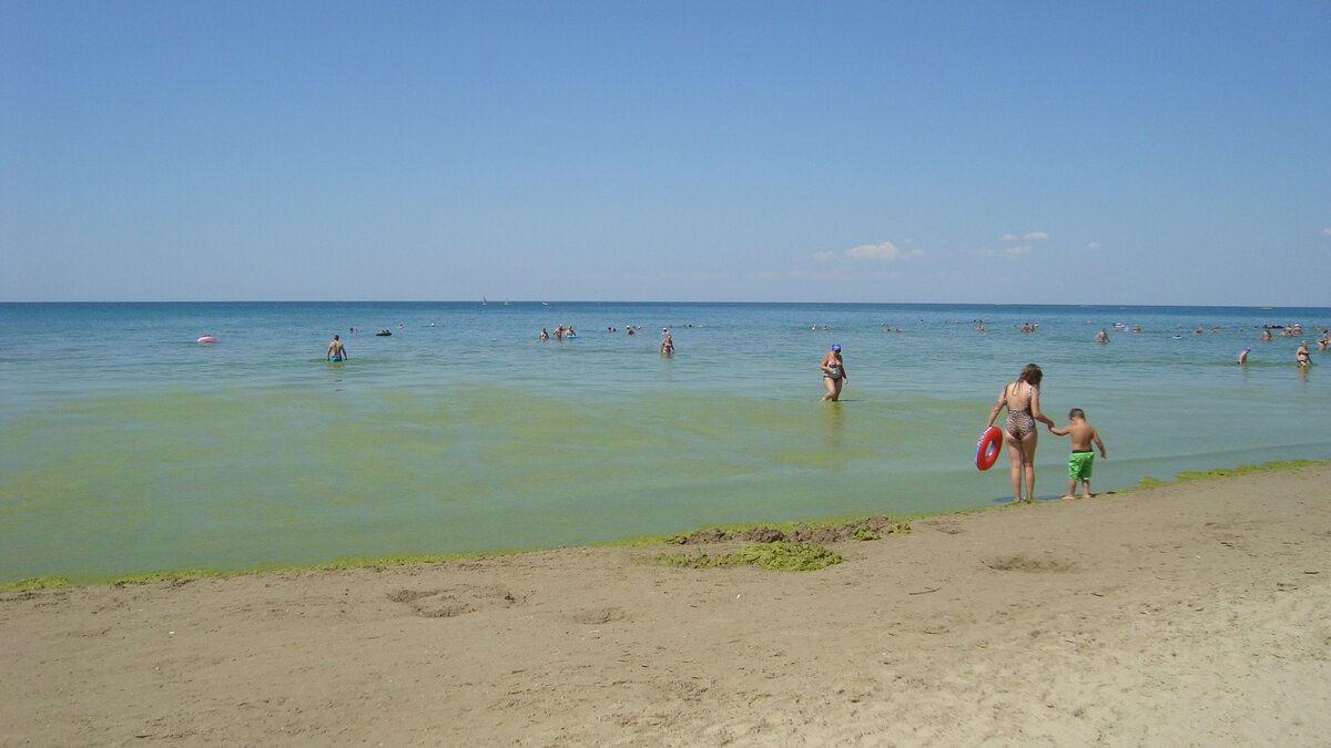 Джемете в июле. Джемете море цветет. Море в Джемете в августе. Цветение Азовского моря. Море в Джемете в июле.