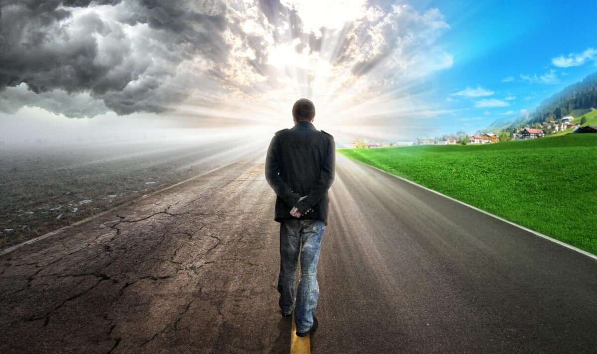 в свободном доступе из интернета