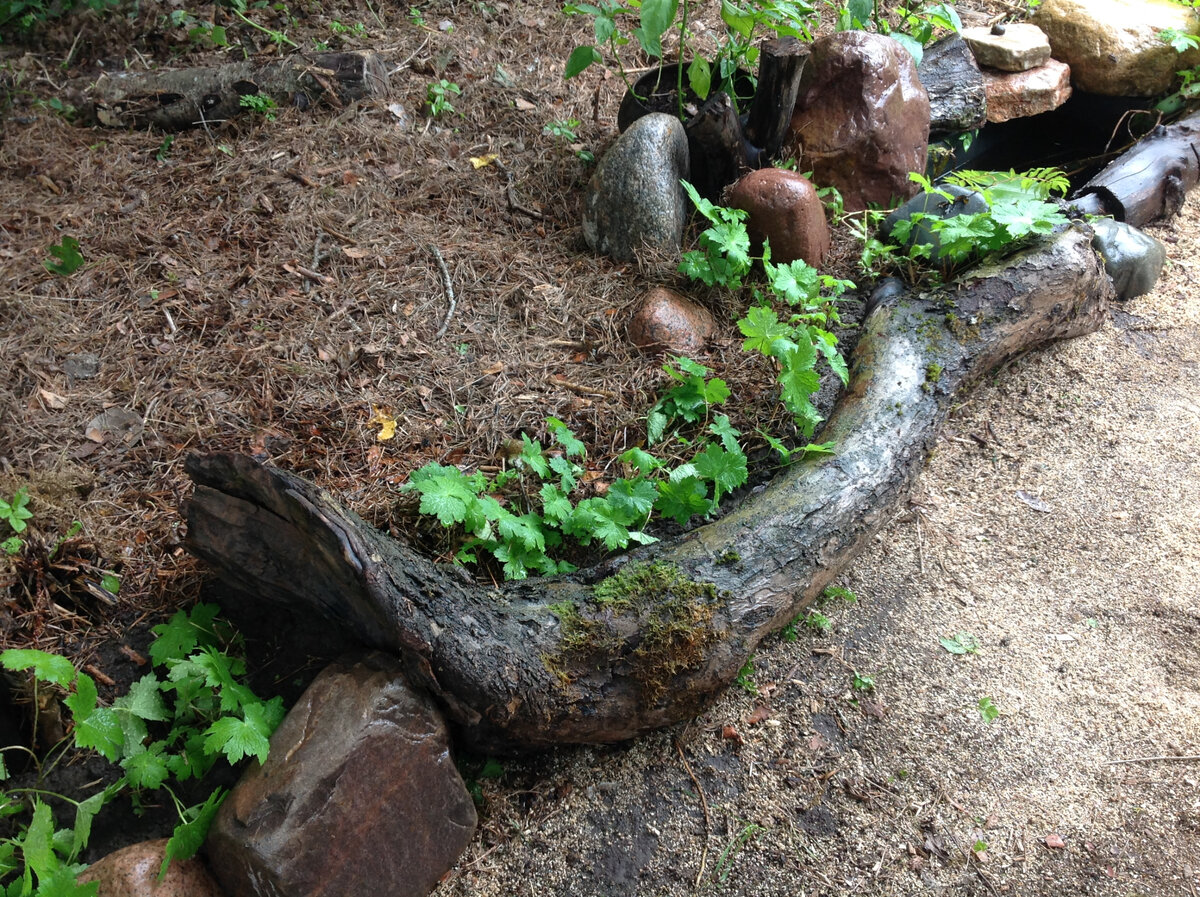 Бордюр из кривого бревна