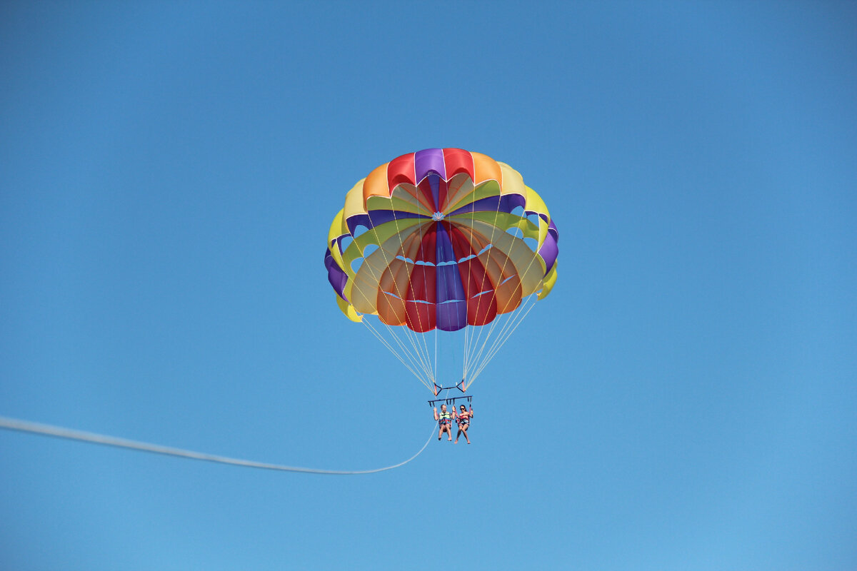 Фото автора)