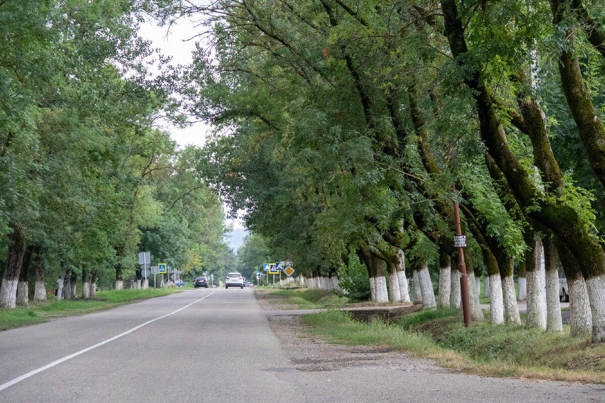 Как посёлок Черноморский превратился из города-сада, с использованием  солнечной энергии, в невыразительное поселение | Южная жизнь | Дзен