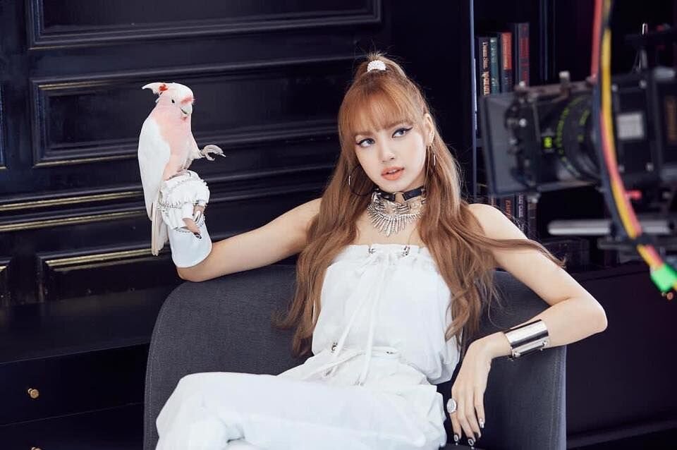 Лиса из блэкпинка. Lisa BLACKPINK. Группа BLACKPINK лиса. BLACKPINK Лалиса Манобан. Лиса Блэк Блэк Пинк.