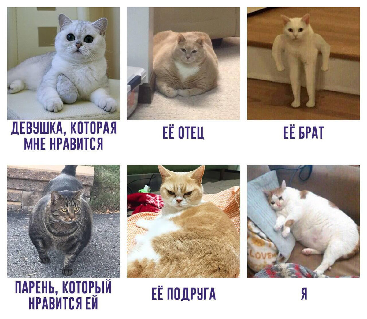 Мем девушка которая мне нравится ее отец