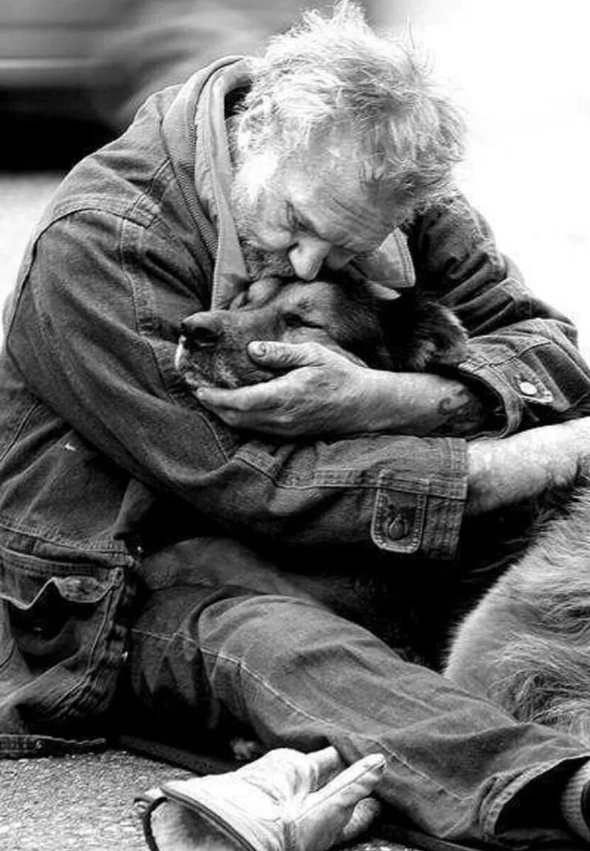 Сочувствие животным. Доброта к людям. Трогательные животные. Доброта к животным. Люди добрые.