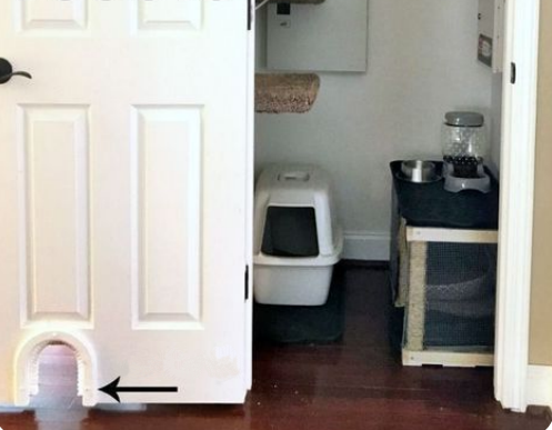 кошкин туалет в интерьере