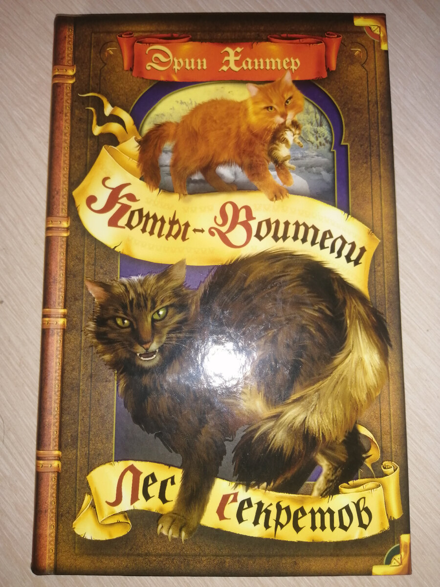 Лицевая часть