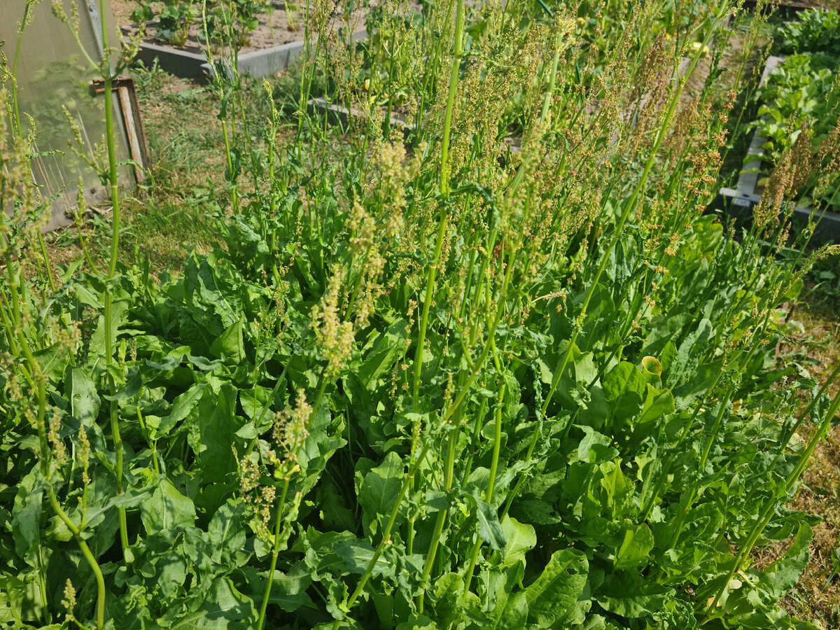 фото из личного архива. Лето 2021 года.