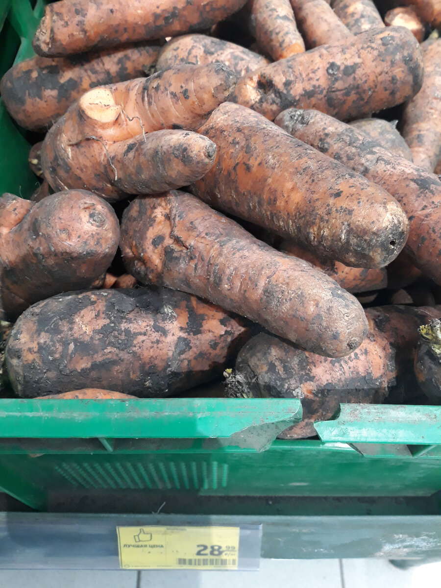 Страшненькая. Вкусная. Мои дети точат её в сыром виде килограммами