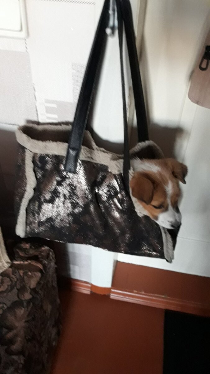 Щенулечка