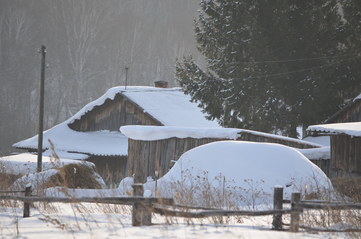 Зима. Фото автора