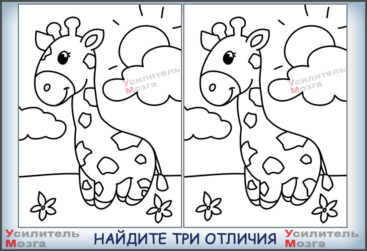 Найдите 3 от 240