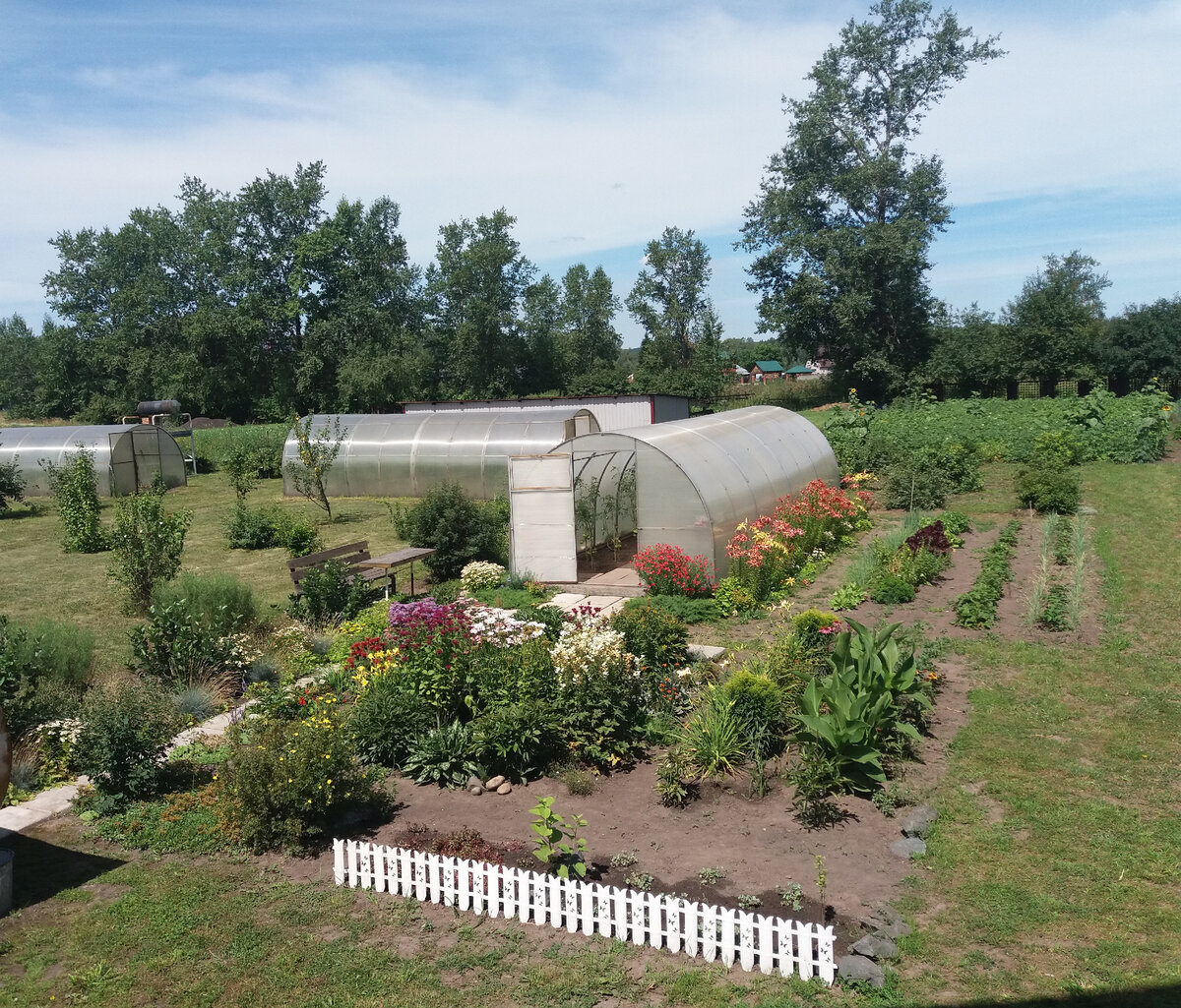 Мой сад совсем молодой.