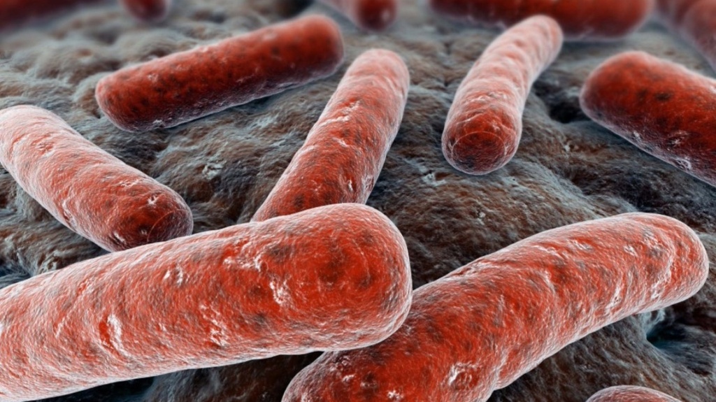 Источник: livrezon.com