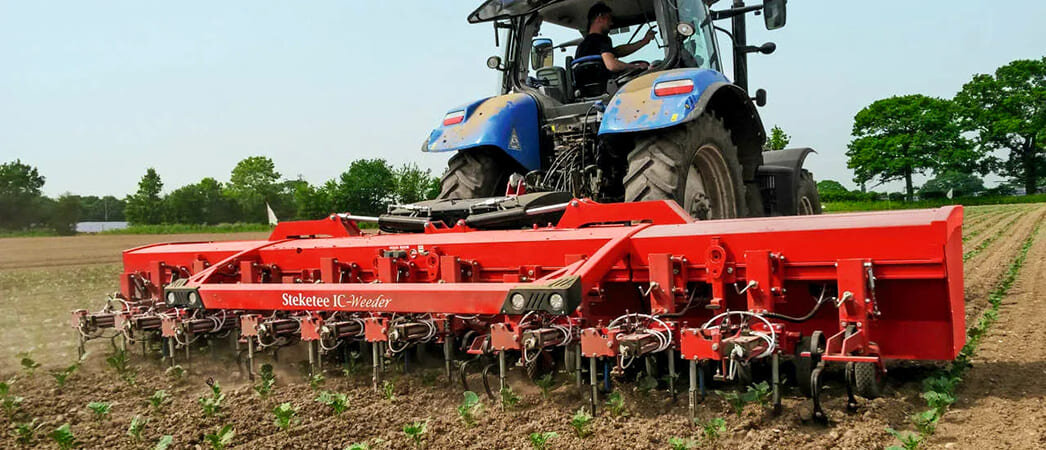 Пропашный культиватор Lemken Steketee IC-Weeder в работе 
