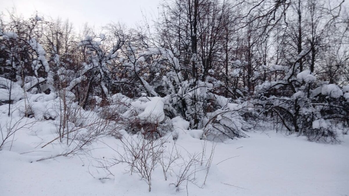 Фото автора.