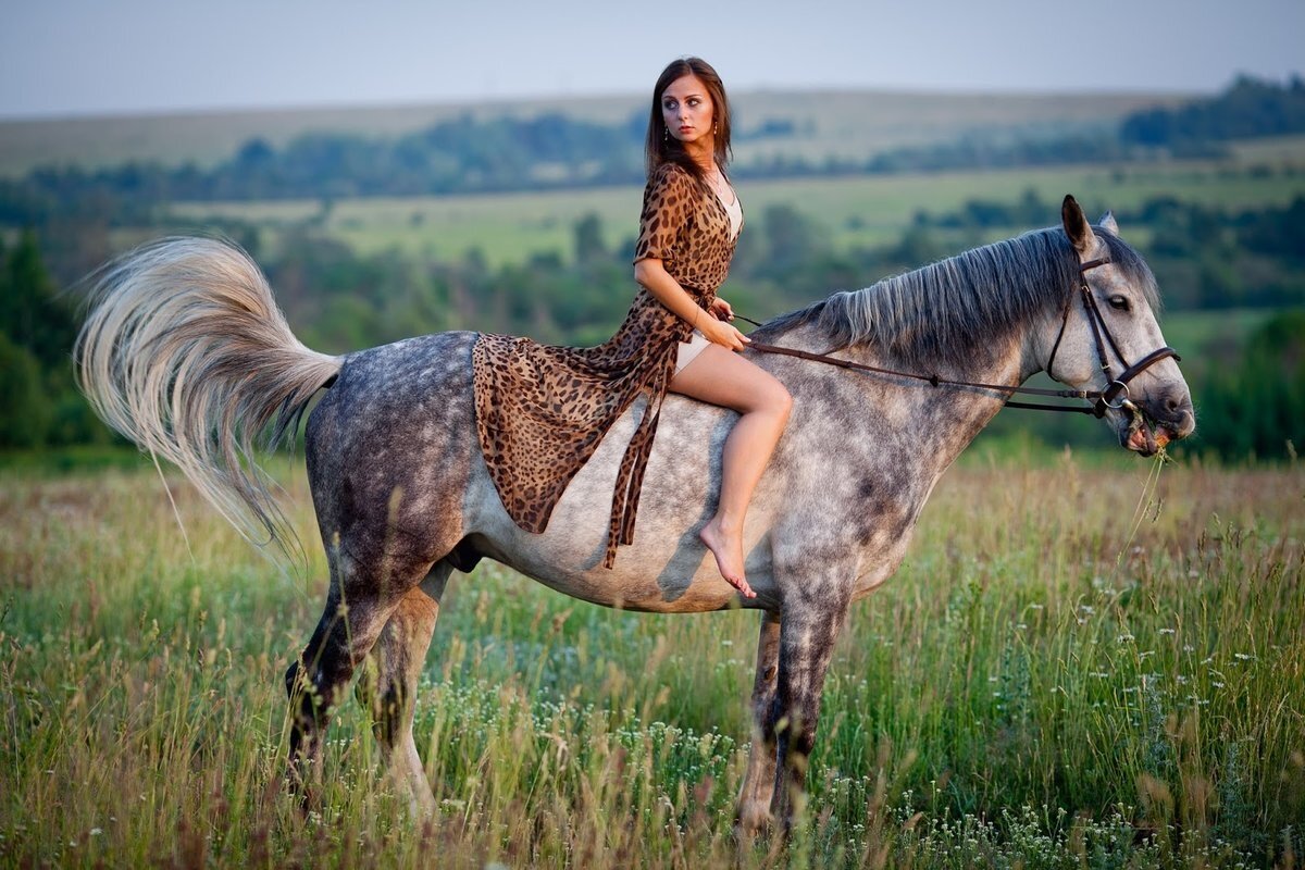 Как провести идеальную фотосессию с лошадью? Советы от конника. | Коноблог:  Алиса и Медея | Дзен