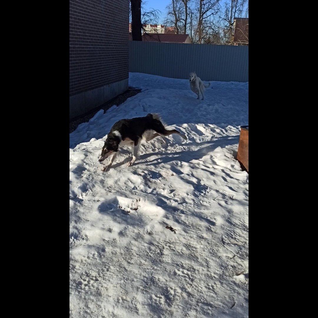 Не успевает камера за прыжками