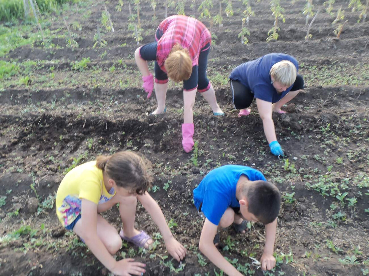 А мне кажется, со всех сторон полезно детям час в день уделить уходу за огородом. 