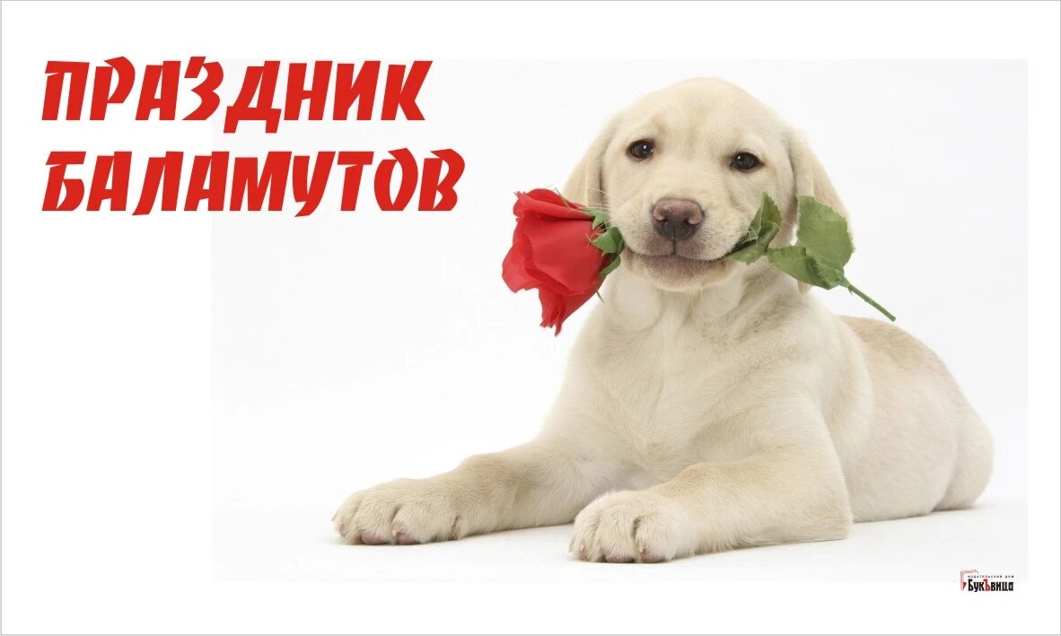 День баламута. Иллюстрация: Курьер.Среда