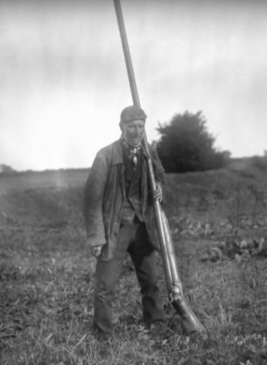 Великаны на земле