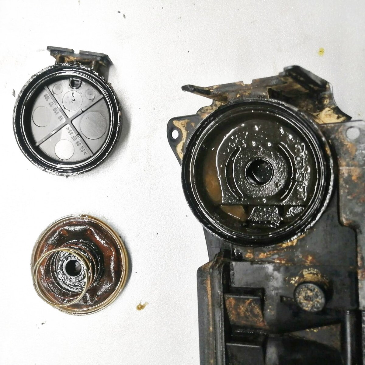 Достали старую мембрану квкг. Состоянии на фото. В таком виде мембрана явно уже не выполняла свою основную функцию. 