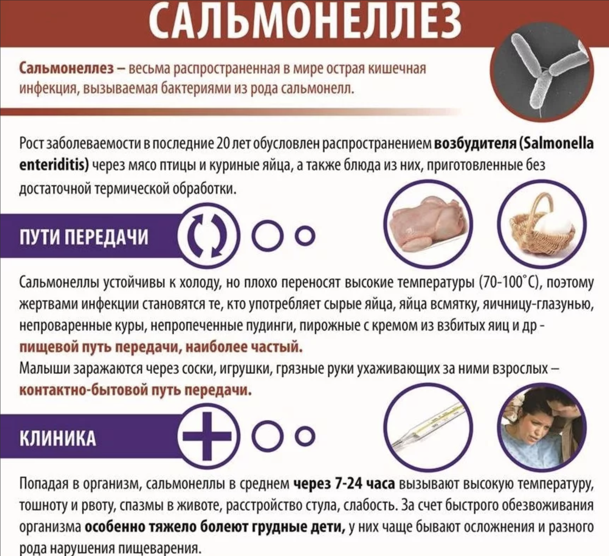 Инфекции вызывающие температуру. Очаг поражения сальмонеллеза. Салсальмонеллёз симптомы. Сальмонелла профилактика. Причины и профилактика сальмонеллеза.