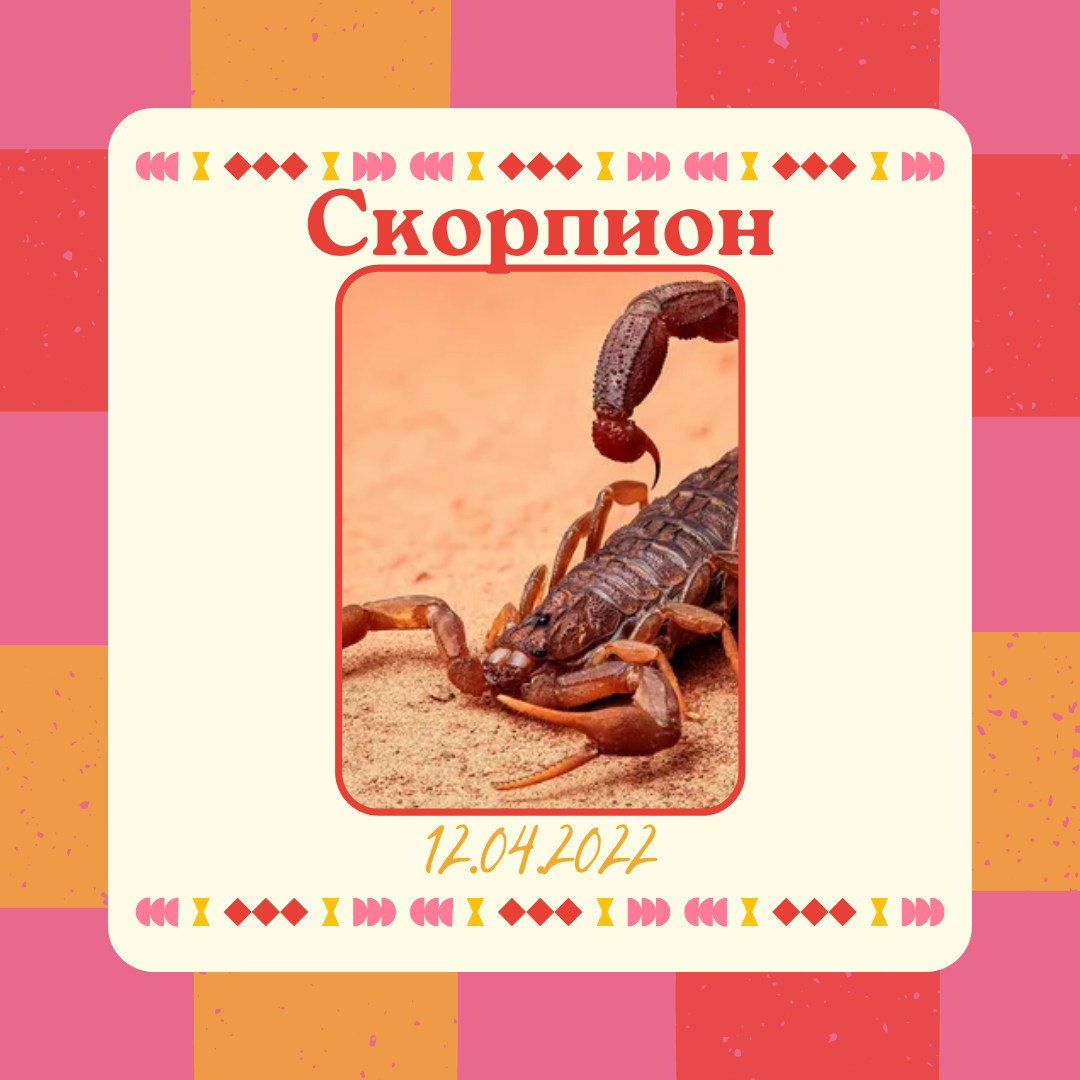Скорпион - 12.04.2022