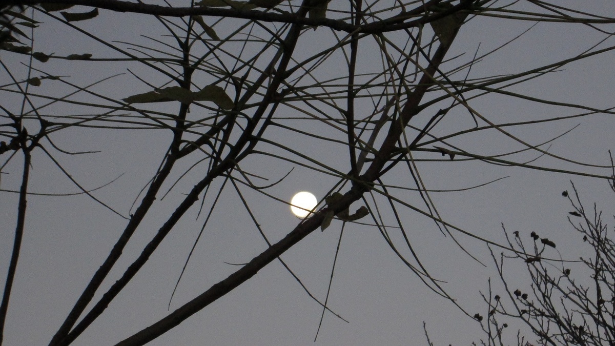 #непознанное, #параллельный мир, #страшилка, #байка, #быличка, #фольклор