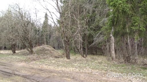 Видео прогулки Старого Солдата. Весенний обход любимых грибных мест. 23.04.2022