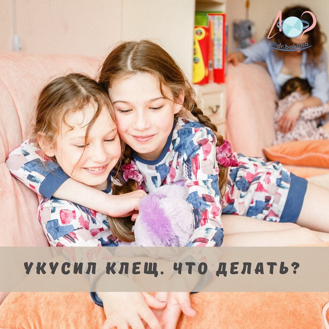 Укусил клещ! Что делать? | dr.boklina | Дзен