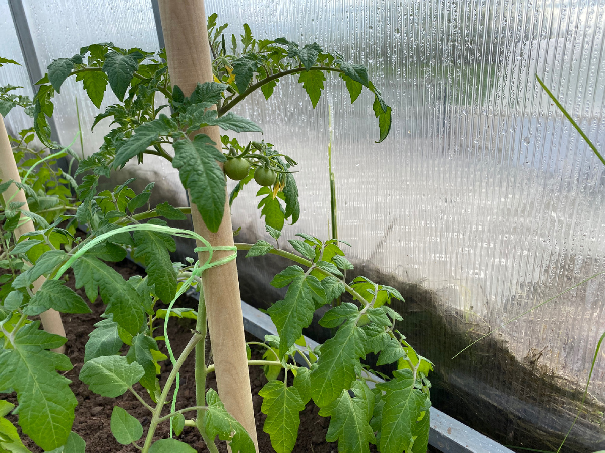 Личное фото 