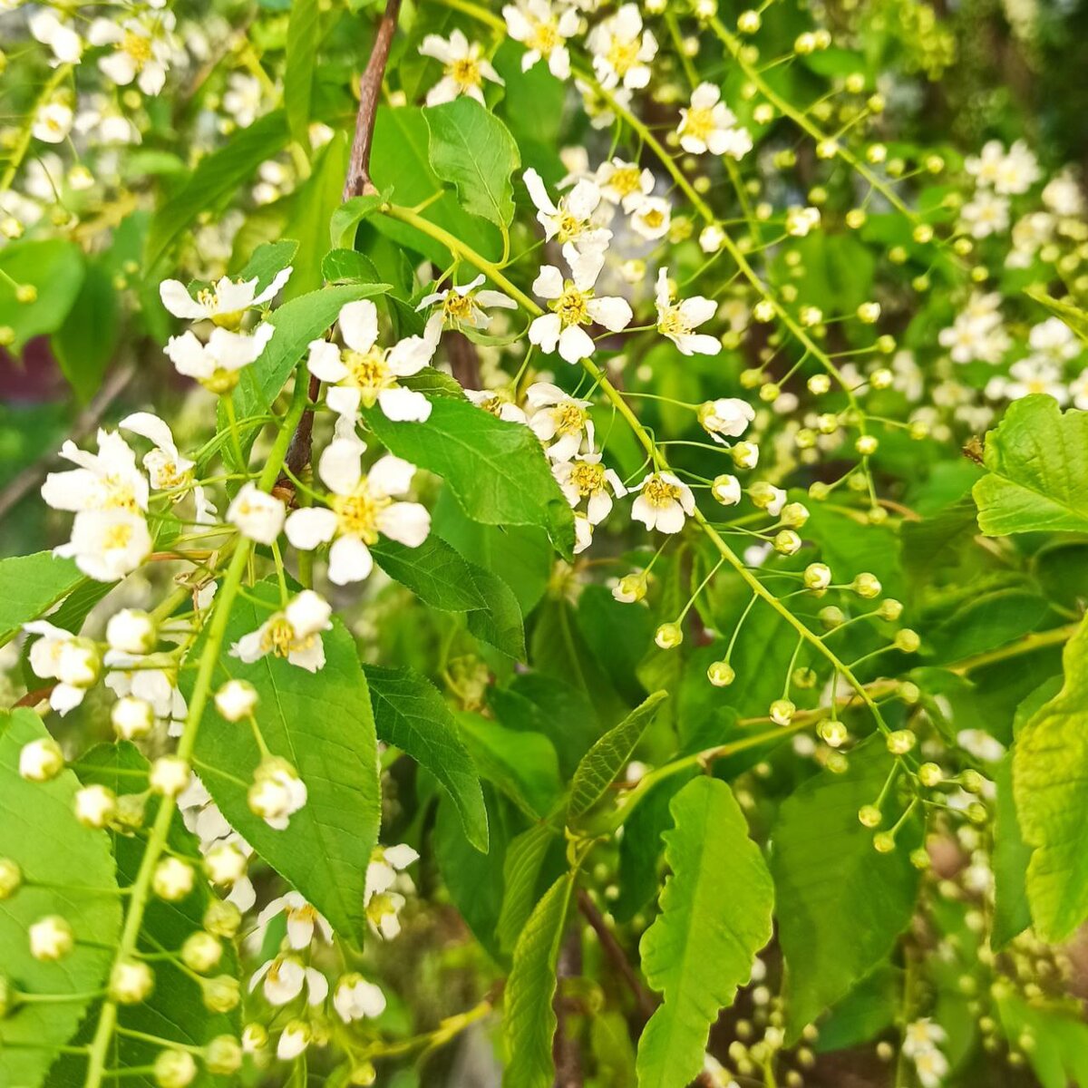 личный архив консультация WA +79808911612 (платно)