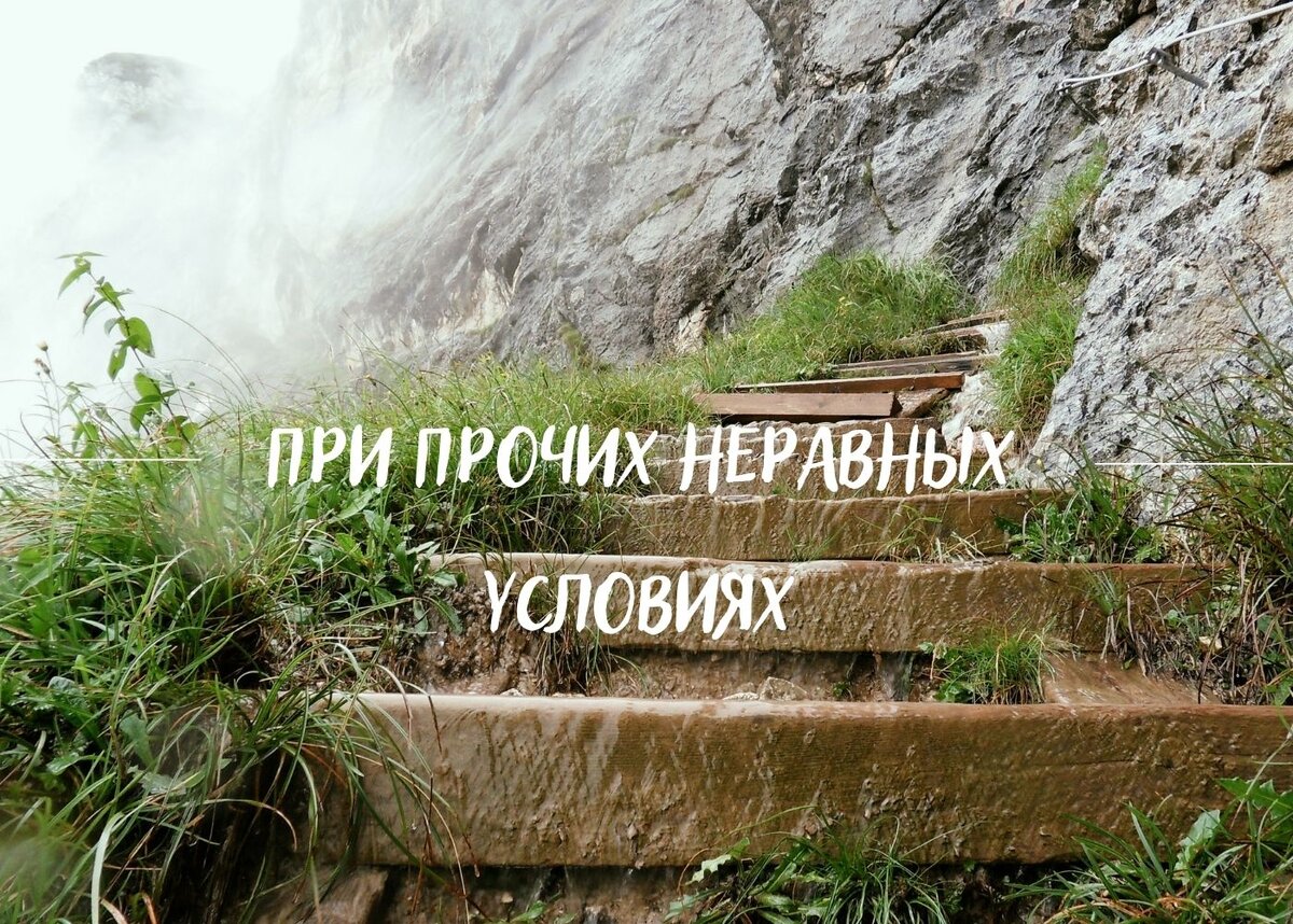 Айса Куликова. Для ума и сердца на Я. Дзен