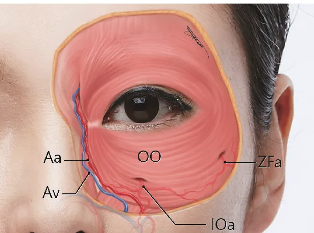 fb- свободный доступ