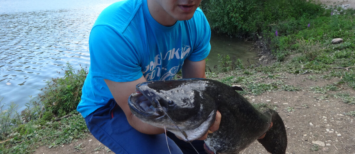 Фото автора.