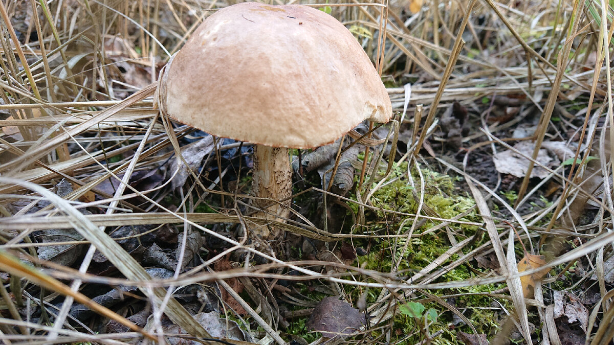 Потом было затишье