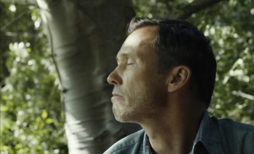 Ф. "Первая любовь" А. Дж.Эдвардса