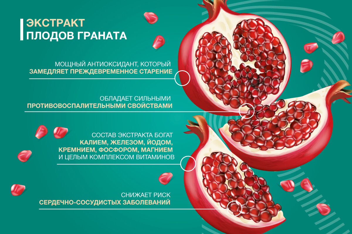 Экстракт плодов граната. БАД гранат. Экстракт граната БАД. Гранат калорийный.