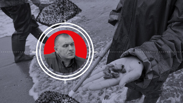 Коллаж  © LIFE. Фото © ТАСС / Елена Нагорных, © "Украина.ру"