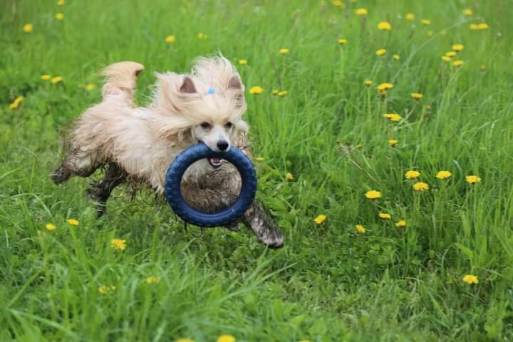 Альфа Лаваль Лауреат вл.Татьяна Туктамышева