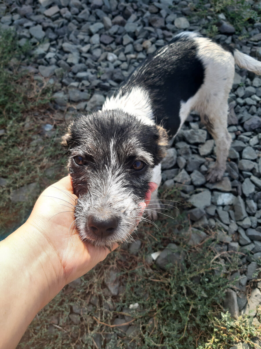 Вот такая худенькая и тоненькая 