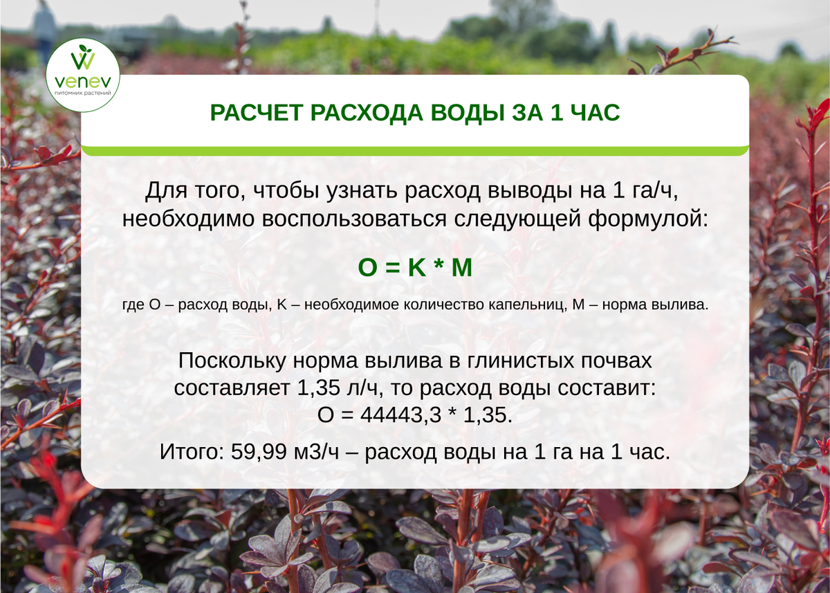 Как рассчитать систему капельного полива в питомнике растений | Венев ...